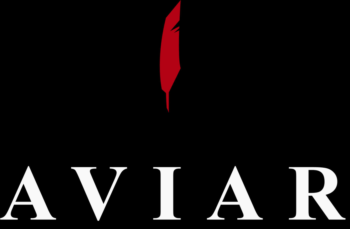 Aviar Saddles